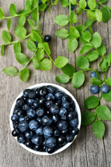 Blueberries in bowl, top view