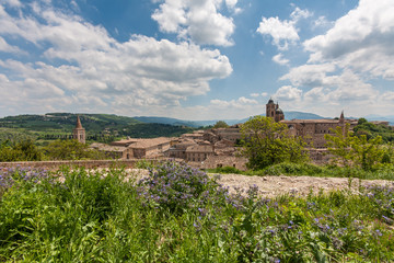 Fototapeta premium Palace of Urbino in Italy