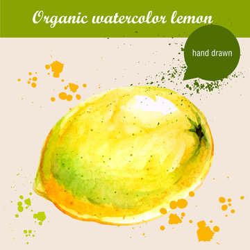 Vector watercolor hand drawn sour lemon with watercolor drops. Organic food illustration.