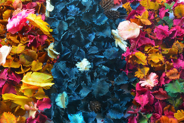 Fototapeta na wymiar Dried flowers and leaf background 