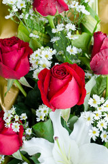 Red roses and white flower  bouquet