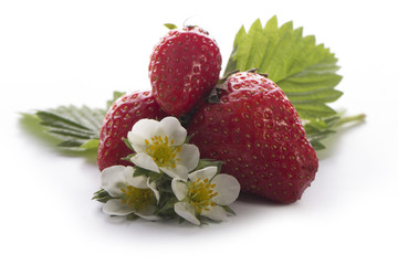 strawberry with flowers isolated
