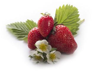 strawberry with flowers isolated