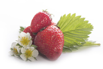 strawberry with flowers isolated
