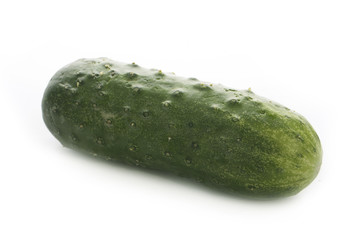 cucumber isolated