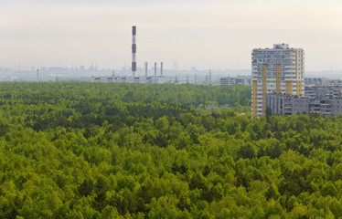 Morning silhouettes of city buildings on the edge of the forest.Russia.