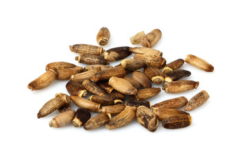 Seeds of a Milk Thistle isolated.