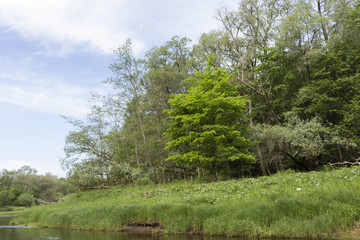 Fototapeta premium Gauja National Park