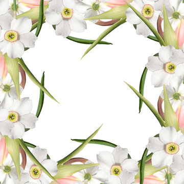 Beautiful floral background. Narcissuses and Tulips  