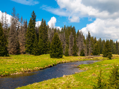 Mountain river on sunny day