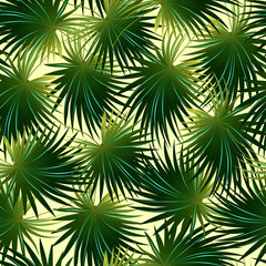 Fototapeta na wymiar Tropical cabbage palm leaf in a seamless pattern