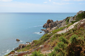 Fototapeta na wymiar lande bretonne en bord de mer