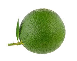 Sweet Orange isolated on white background