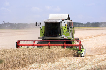 Fototapeta premium combine