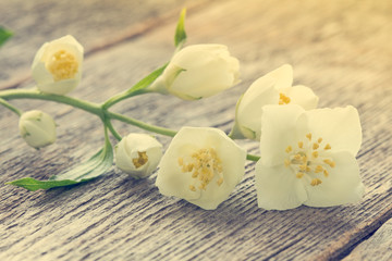 Naklejka na ściany i meble Pastel image with summer flowers