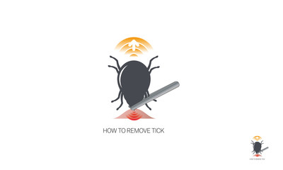 How to remove tick - dangerous insect - obrazy, fototapety, plakaty