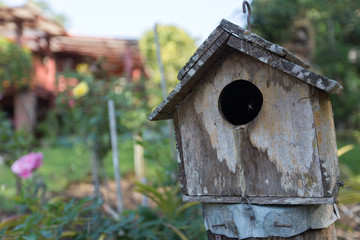 Thai garden with plants and birds house