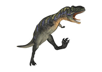 Fototapeta premium 3D Rendering Dinosaur Aucasaurus on White