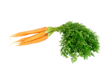Fresh organic carrot vegetable with green leaves isolated on white background