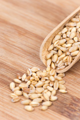 Wheat beans in the wooden kitchen spoon