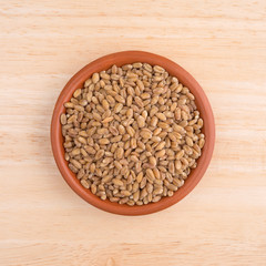 Small bowl of red winter wheat berries on wood table