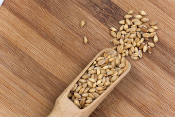 Wooden scoop full of wheat beans