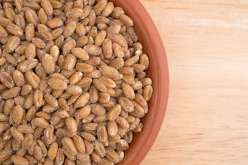Small bowl of red winter wheat berries top close view