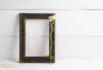 Vintage decoration frame with daisy