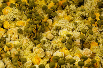 Fototapeta na wymiar Bunch of yellow flowers