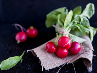 Fresh garden radish

