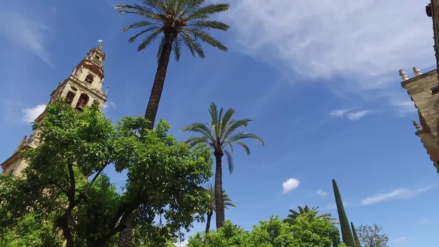 Cordoba, Andalusia, Spagna, Aprile 20, 2016: Cattedrale dell'Immacolata Concezione di Maria Santissima, giardino esterno (Ultra High Definition, UltraHD, Ultra HD, UHD, 4K, 2160P, 3840x2160)