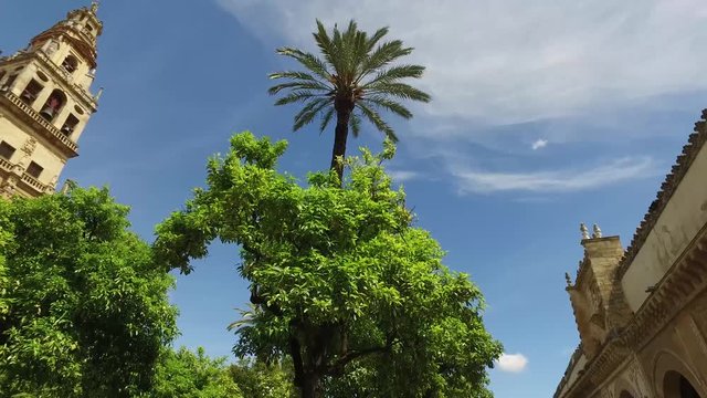 Cordoba, Andalusia, Spagna, Aprile 20, 2016: Cattedrale dell'Immacolata Concezione di Maria Santissima, giardino esterno (Ultra High Definition, UltraHD, Ultra HD, UHD, 4K, 2160P, 3840x2160)