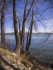 Spring landscape