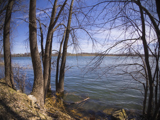 Spring landscape