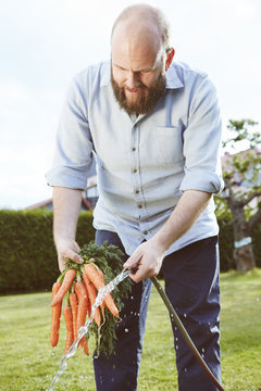 Young man working in garden, bunch of carrots, cleaning with water