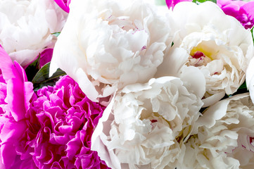 Big bouquet of pink and white peony