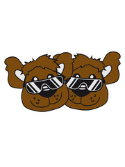 2 friends team crew cool sunglasses summer face head teddy bear party comic cartoon