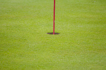 Obraz premium Golf green closeup