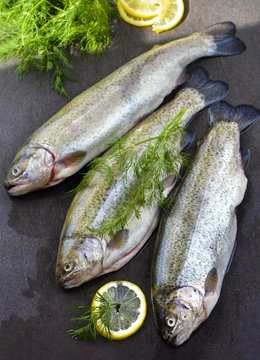 Rainbow trout on a stone board with herbs and lemon