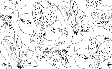 Fototapeta premium Seamless pattern alstroemeria flowers