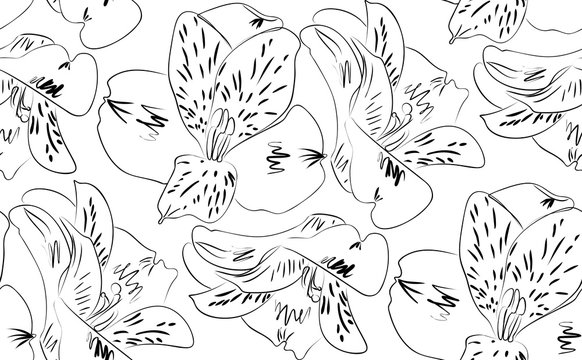 Seamless Pattern Alstroemeria Flowers