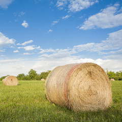 Hay bales on the field after harvest.
