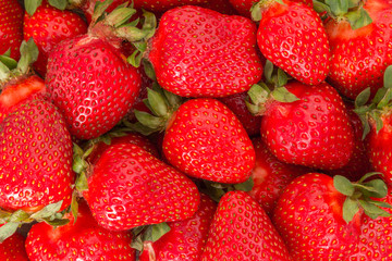 Strawberry background. Many strawberries extreme closeup.