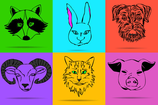 Collection of animals