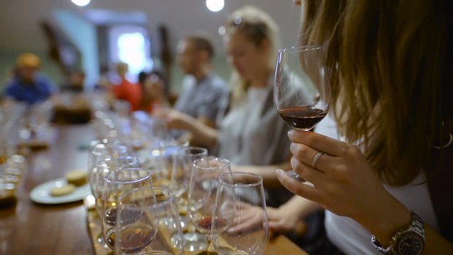 Group of young people on a wine tasting. The tasting room.