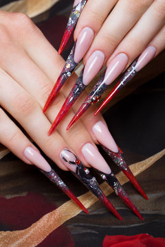 Fototapeta Long beautiful manicure on the fingers in black and red colors with a spider. Nails design. Close-up