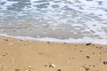 Beautiful seacoast  on a sunny day