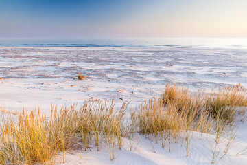 beautiful view of the coastal dunes