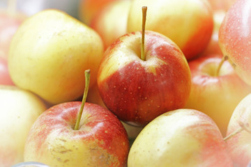 Red apples  with vintage blur and nosie