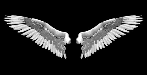 Plakat white wings